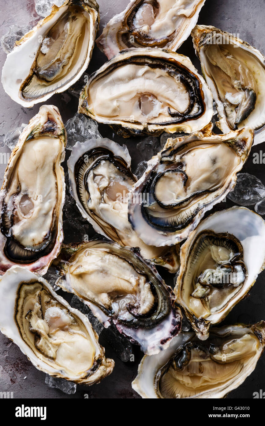 Oysters background with Open Oyster and ice Stock Photo