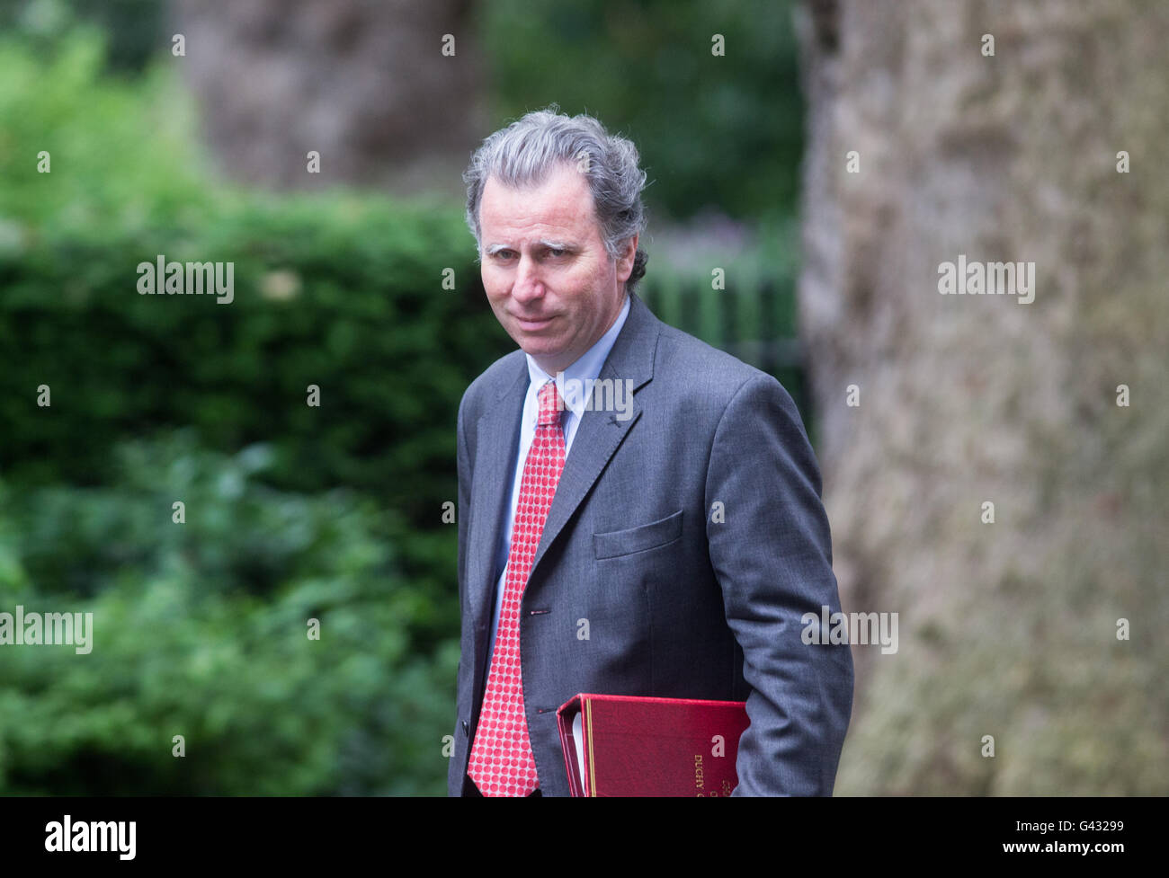 Oliver Letwin,Chancellor of the Duchy of Lancaster,arrives at Number 10 Downing Street for a Cabinet meeting Stock Photo
