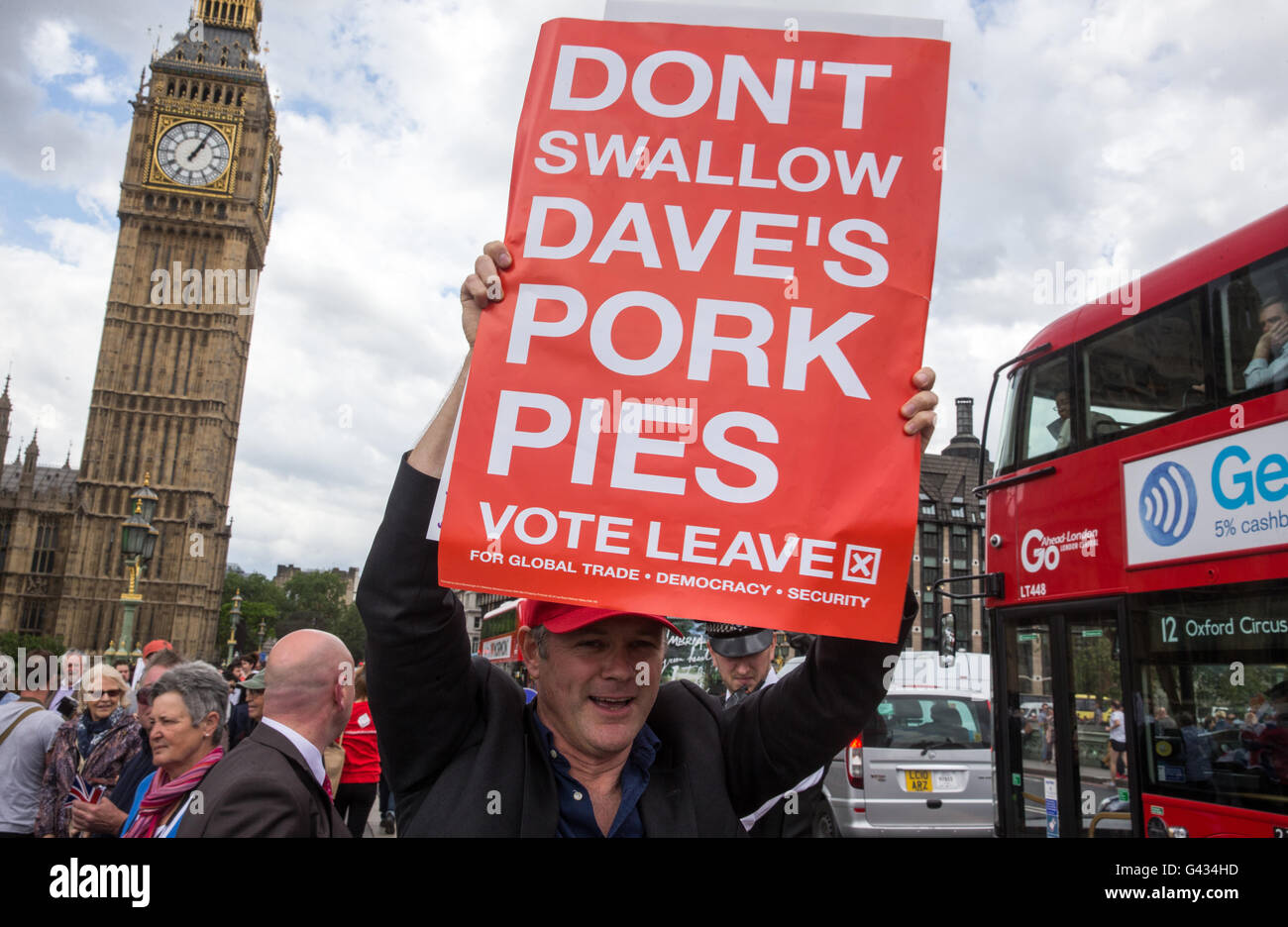 Leave supporters watch the Vote out' flotilla from Westminster Bridge - 'Don't swallow Dave's Pork pies' banner Stock Photo