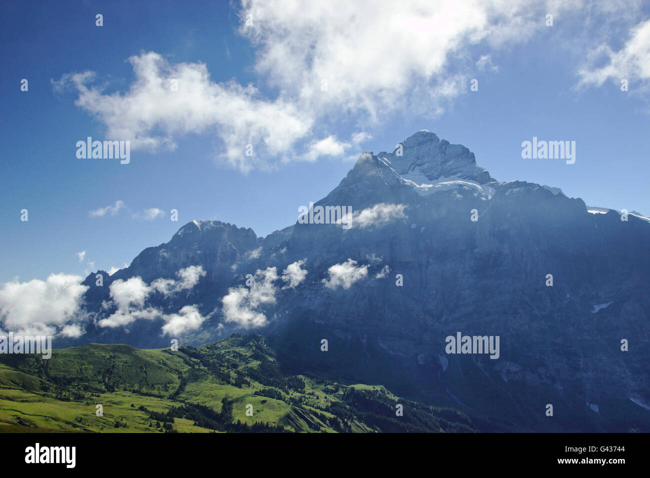 Wetterhorn from First, near Grindelwald, Schwitzerland Stock Photo