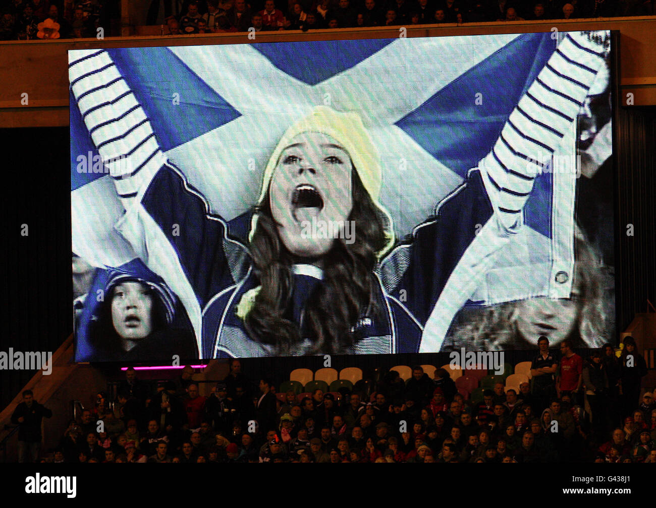 A scotland fan is shown on the big screen hi-res stock photography and ...