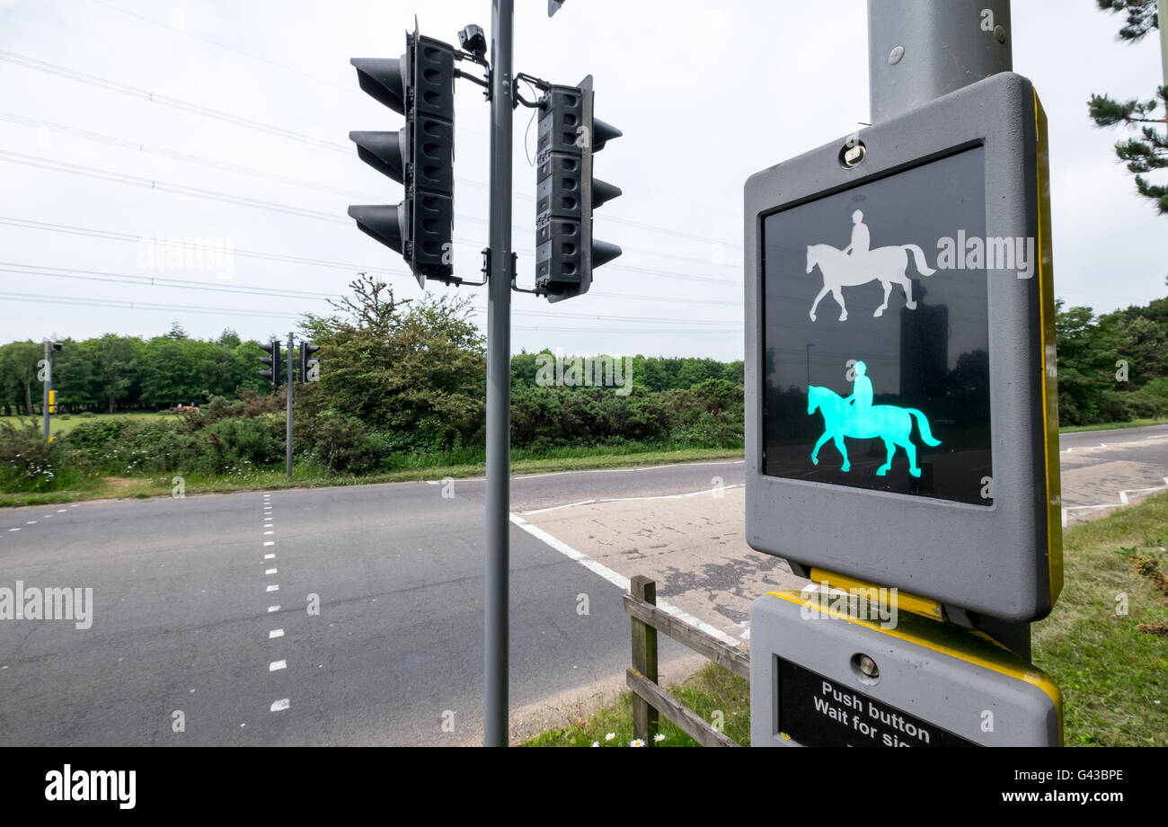 Horse rider traffic lights crossing known as a Pegasus crossing in The New Forest National Park Hampshire, UK Stock Photo