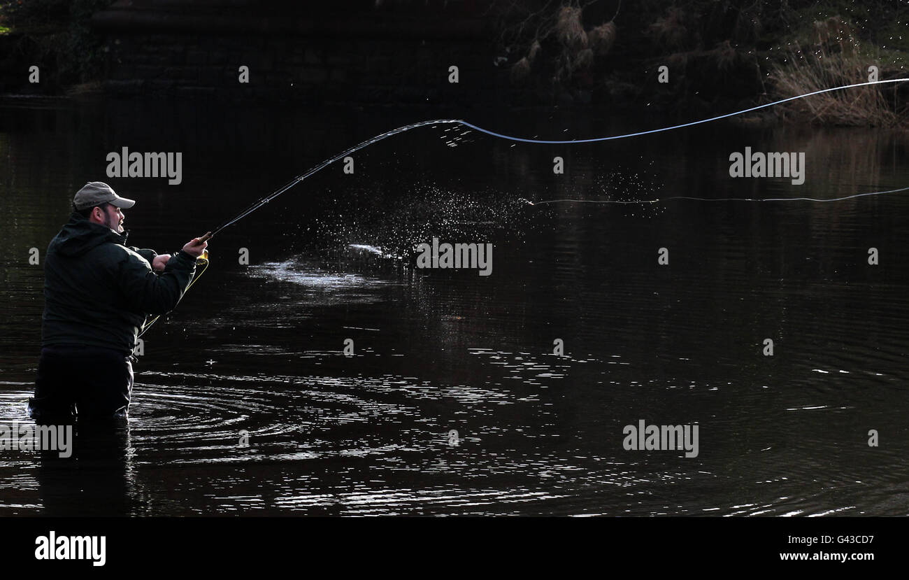 Salmon fishing season Stock Photo Alamy