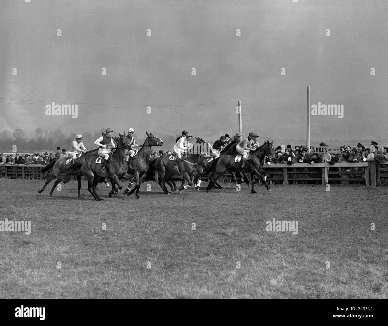 Horse Racing - Cheltenham Festival - Cheltenham Gold Cup - Cheltenham Racecourse Stock Photo