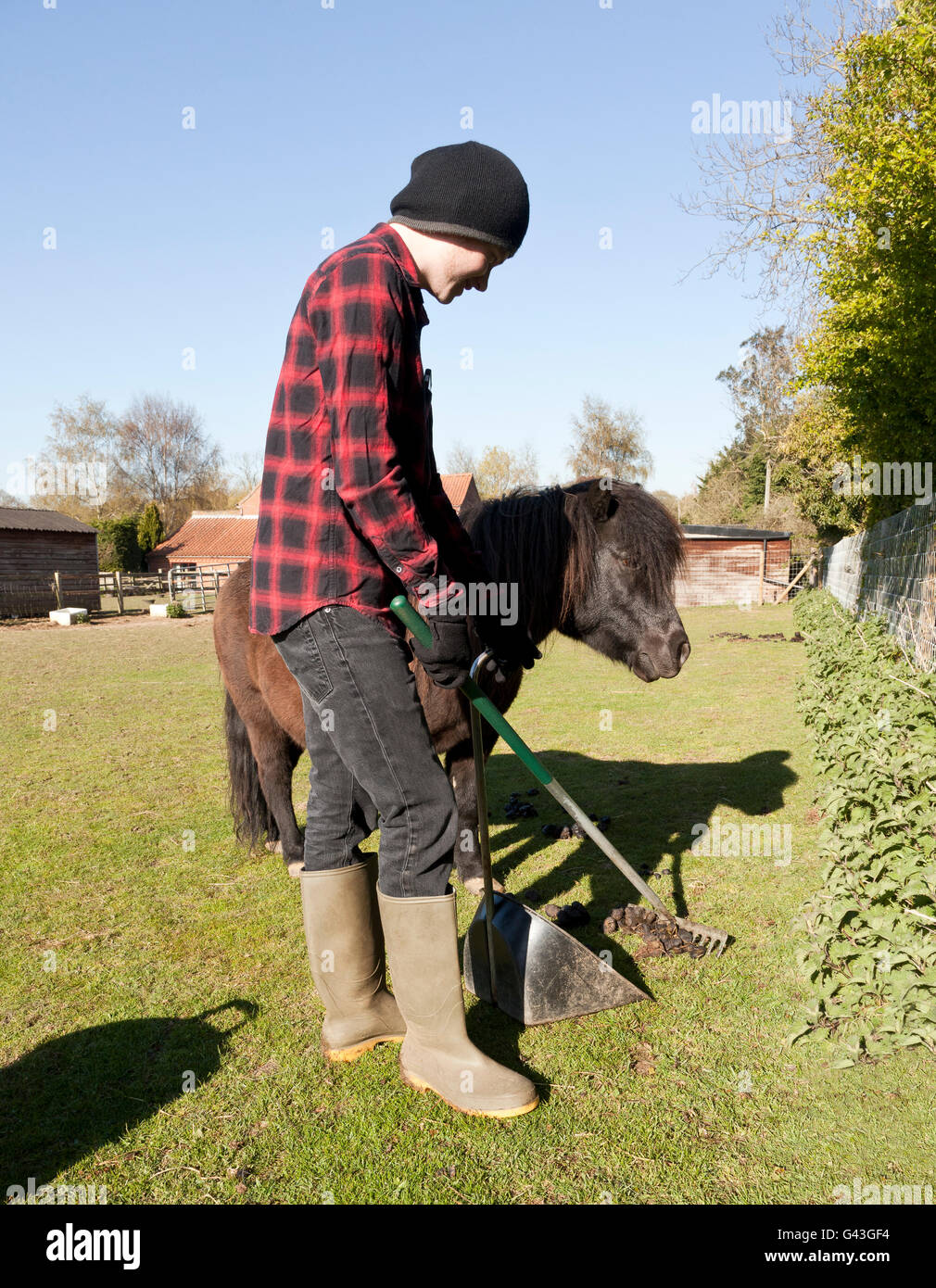 A young man clearing pony droppings from a paddock Stock Photo