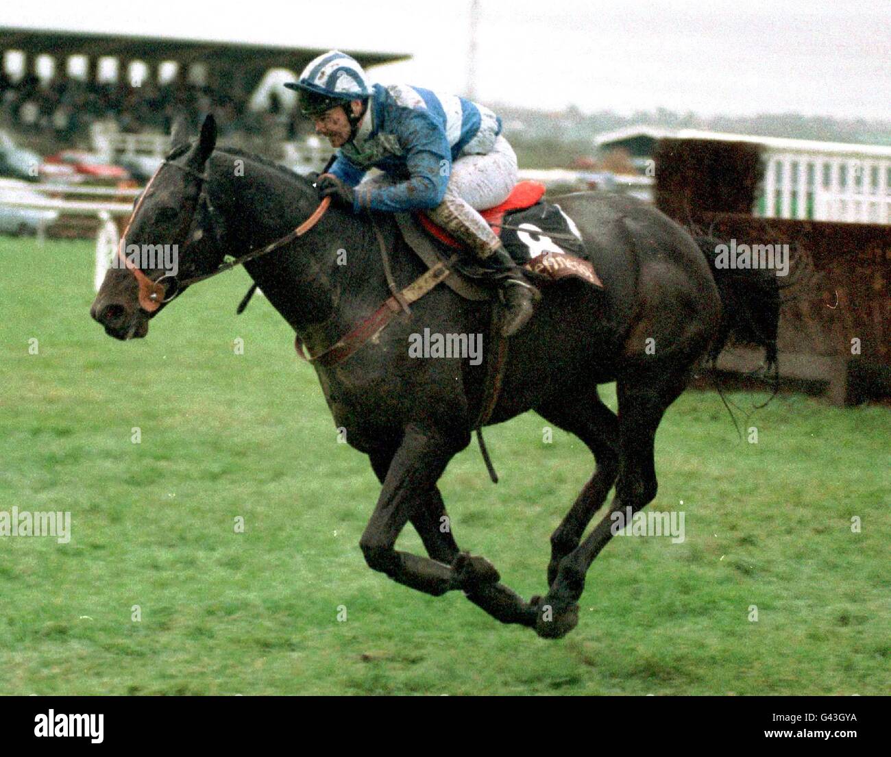 Couldnt Be Better, D Gallagher up, going on to win the Hennessy Cognac Gold Cup Steeple Chase at Newbury. Stock Photo