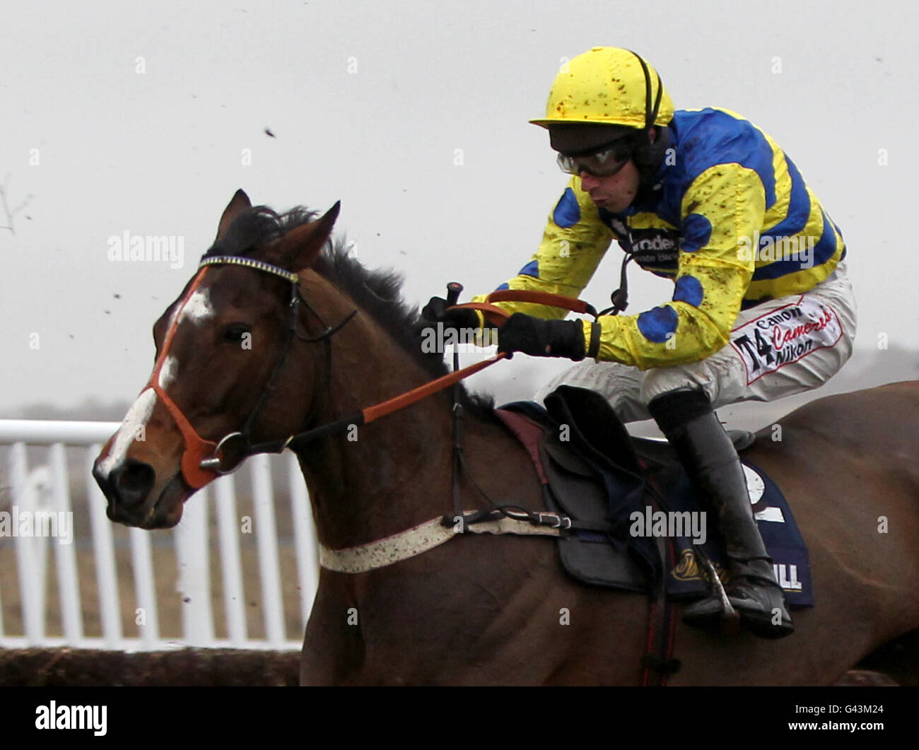 Blazing Bailey ridden by Wayne Hutchinson in the williamhill.com Handicap Chase. Stock Photo