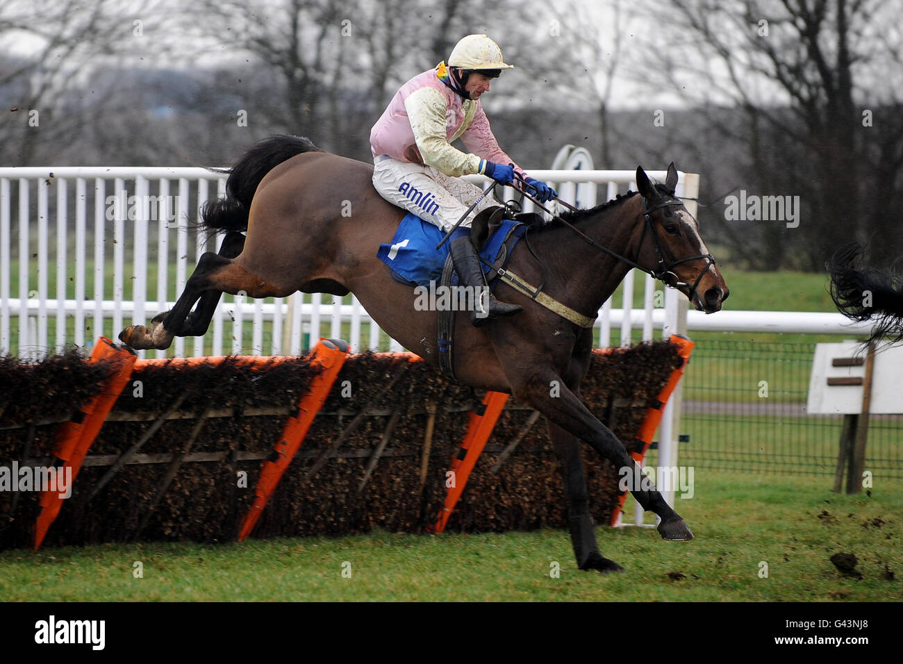 Horse Racing Huntingdon Racecourse. Jockey Andrew Thornton on Empire
