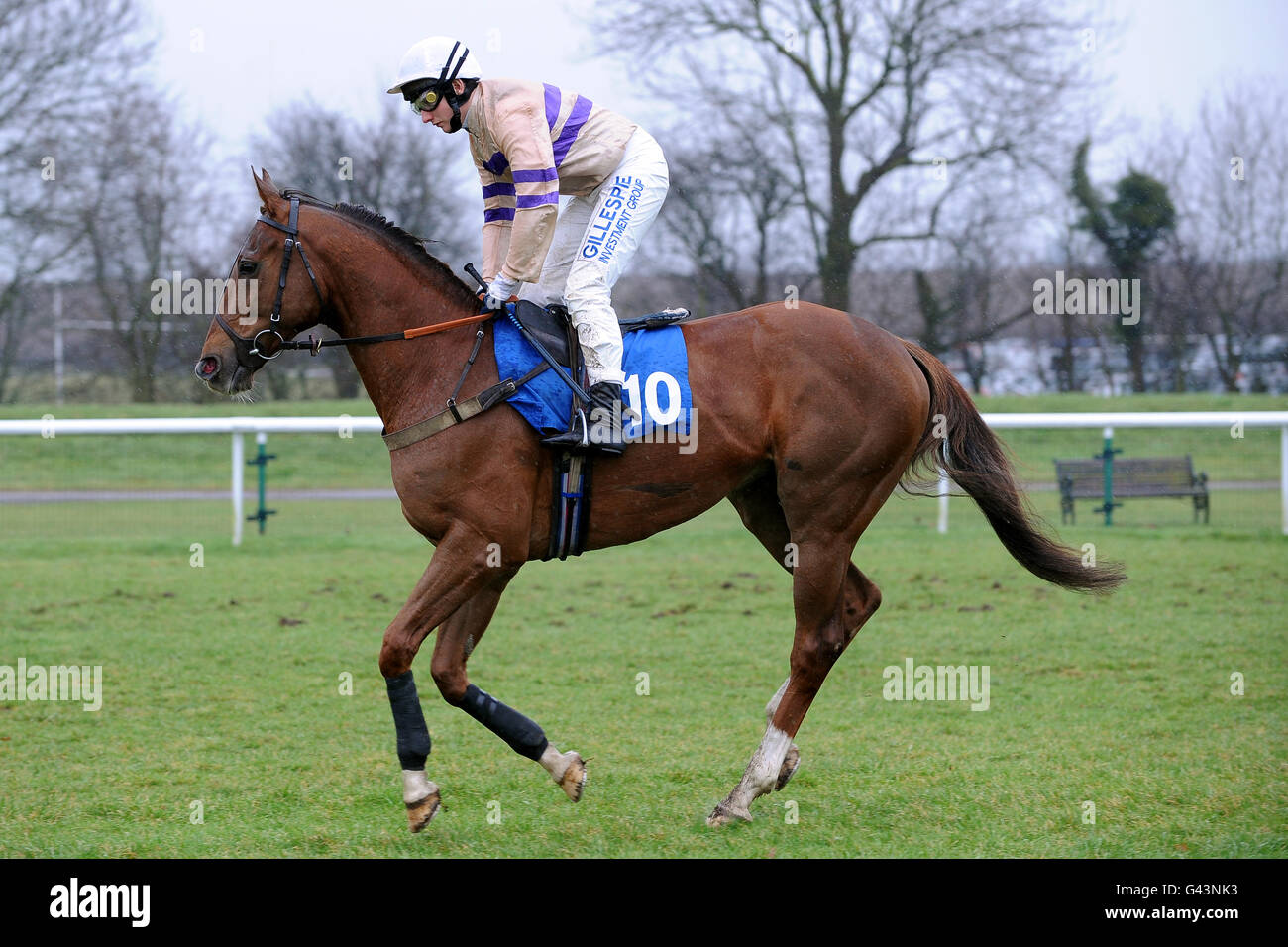 Jockey Jamie Moore on Marc of Brilliance goes to post in the Racing UK Novices' Handicap Chase Stock Photo
