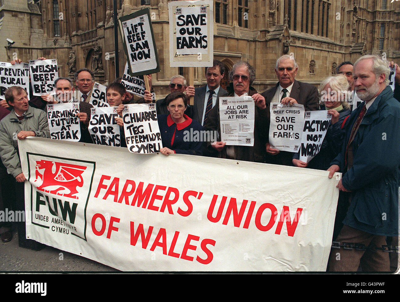 BSE Welsh Farmers. Members of the Farmers' Union of Wales protest outside the House of Parliament. Stock Photo