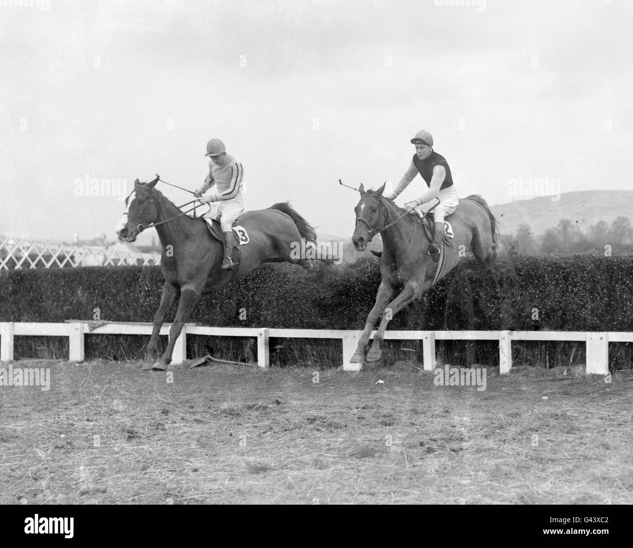 Horse Racing - Cheltenham Festival - Cheltenham Gold Cup - Cheltenham Racecourse. The winner 'Four Ten' (left), Tommy Cusack up, taking the last fence with 'Mariners Log', Pat Taaffe up. Stock Photo