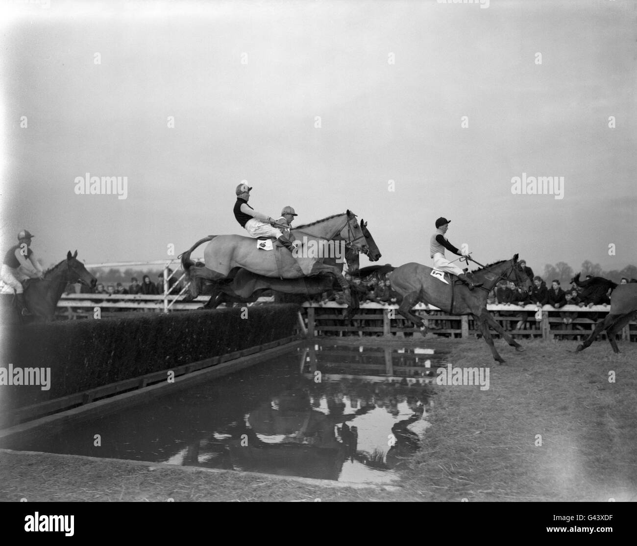Horse Racing - New Year Steeplechase - Cheltenham Racecourse. 'Master Troy' (No.10), leading 'Hastily' over a fence near the stands. Stock Photo