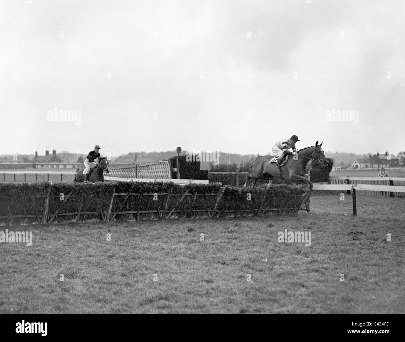 The winner 'Sea Sence', P.Supple up (first name not known) is clear of the second placed horse 'Blind Approach', Bill Rees up. Stock Photo