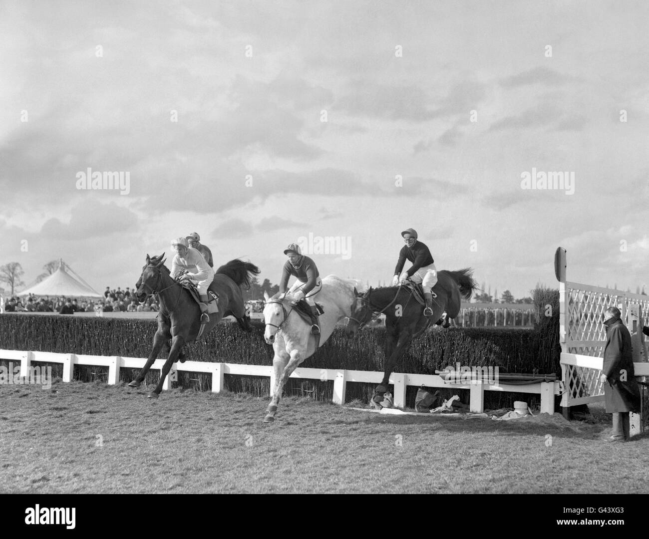 The field taking the second fence, left to right, led by Colonel John Thompson's 'Fort Leney (6), Pat Taaffe up, 'Stalbridge Colonist' (1), Terry Biddlecombe up and 'The Laird' (3), J. King up Stock Photo