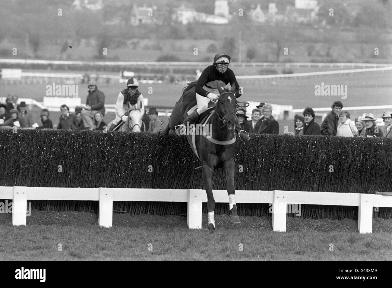 The first female jockey to win a race at Cheltenham, Caroline Beasley who won the Christie's Foxhunter Chase on 'Eliogarty'. Stock Photo