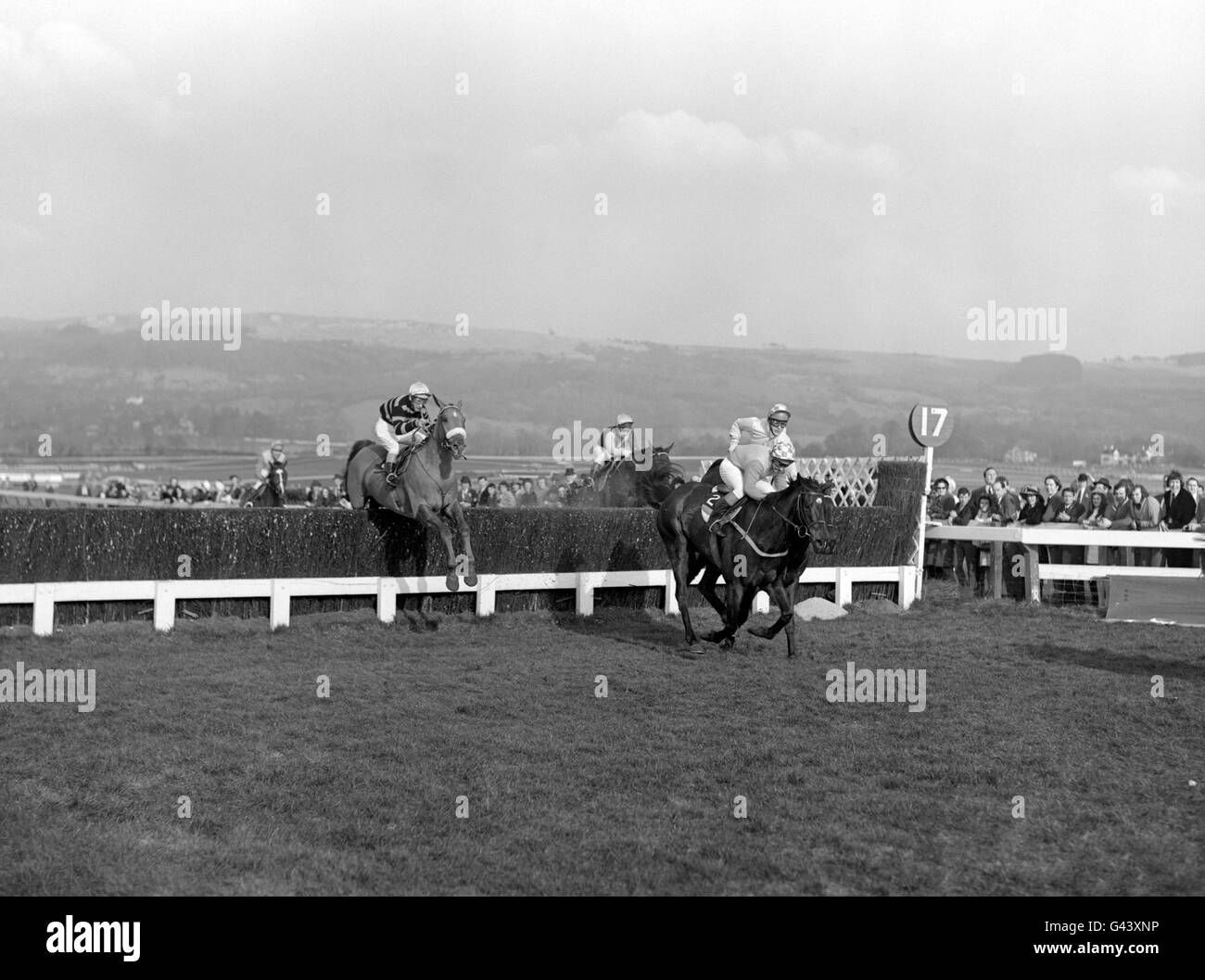 'Crisp' (2), Richard Pitman up leading over one of the fences from 'L'Escargot' (8), Tommy Carberry up (near side) 'Royal Toss' (9), Nigel Wakley up (far side) and 'Spanish Steps' (10), Bill Smith up. Stock Photo