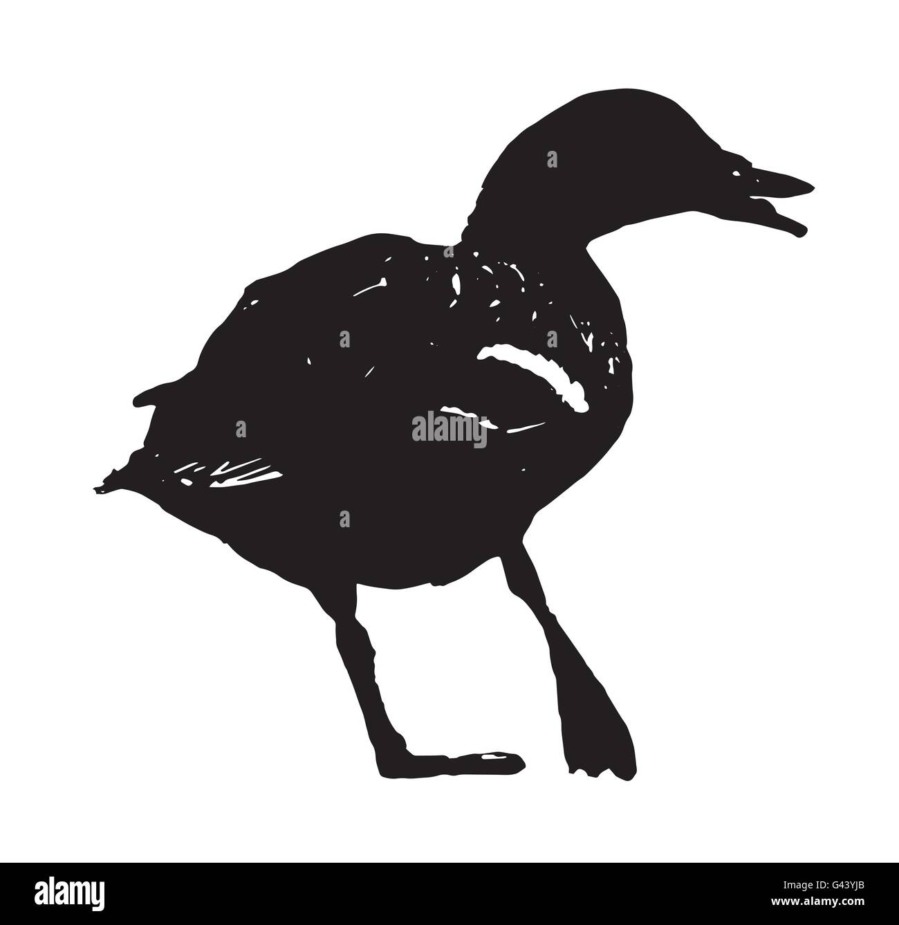 Wild mallard duck with the broken leg. Black and white vector graphic. Animal scene. Drake in picture. Stock Vector