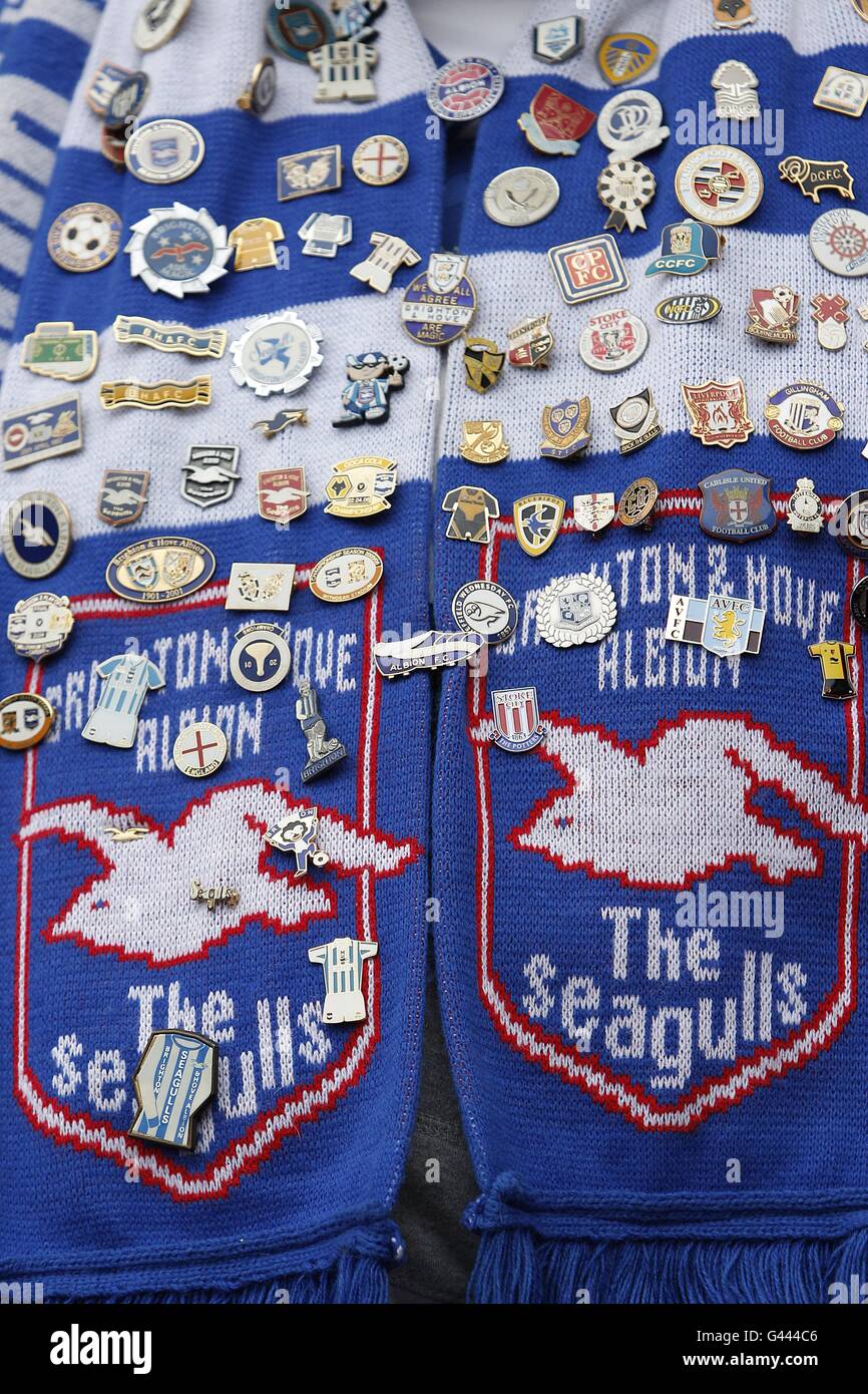 Brighton football scarf hires stock photography and images Alamy