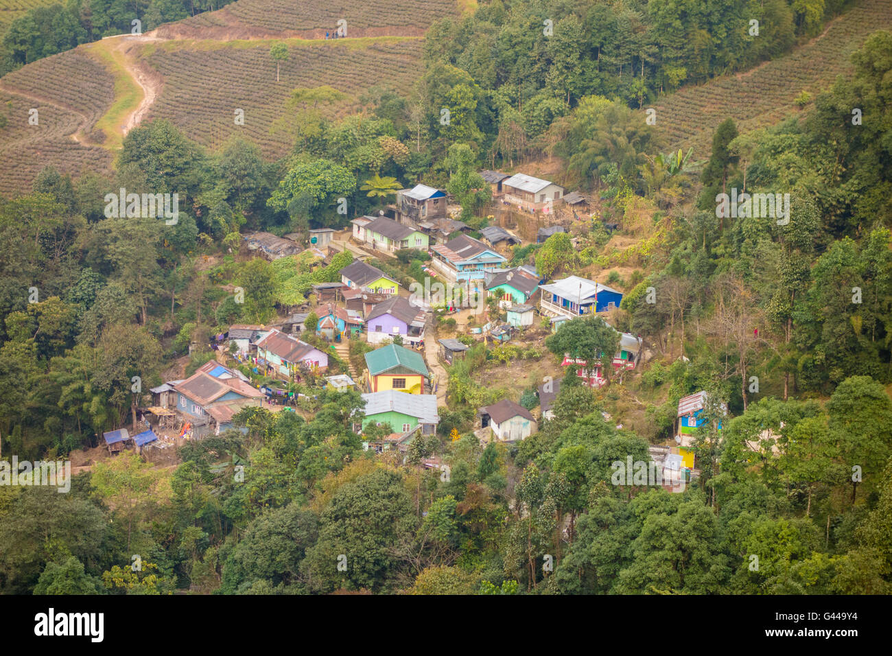 Cluster of houses as seen from Happy Valley Tea Estate, Darjeeling, West Bengal, India. Stock Photo