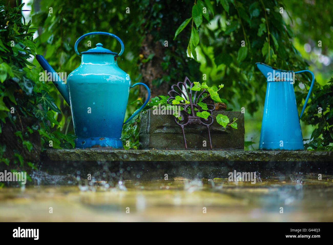 Rain drops with watering can Stock Photo Alamy
