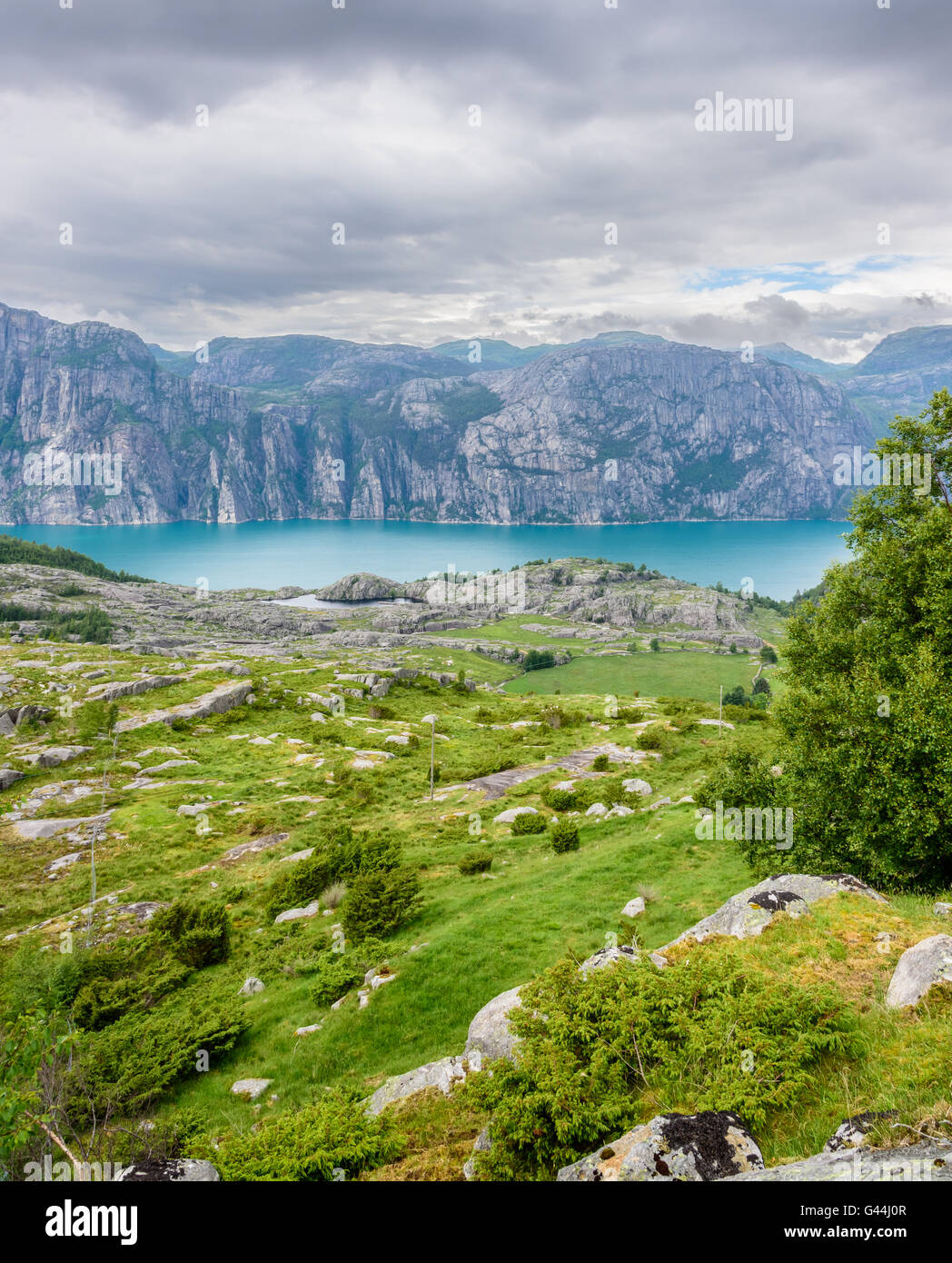 Lush green meadows hi-res stock photography and images - Alamy