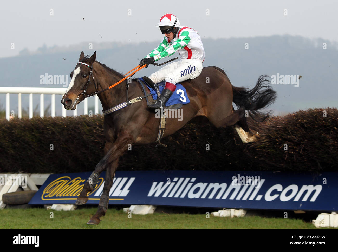 Horse Racing - Ludlow Racecourse Stock Photo - Alamy