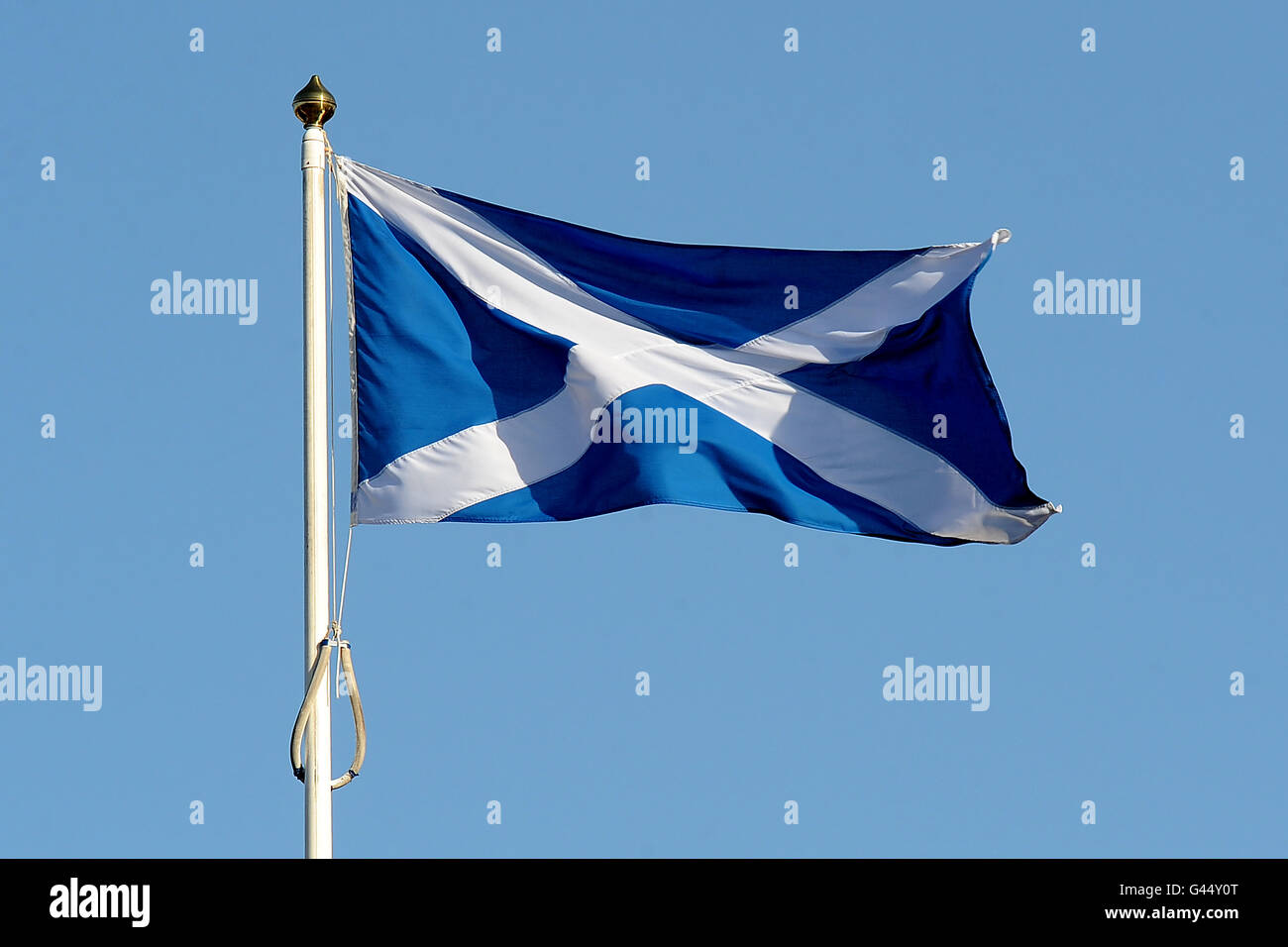 The scotland flag flies murrayfield hi-res stock photography and images ...