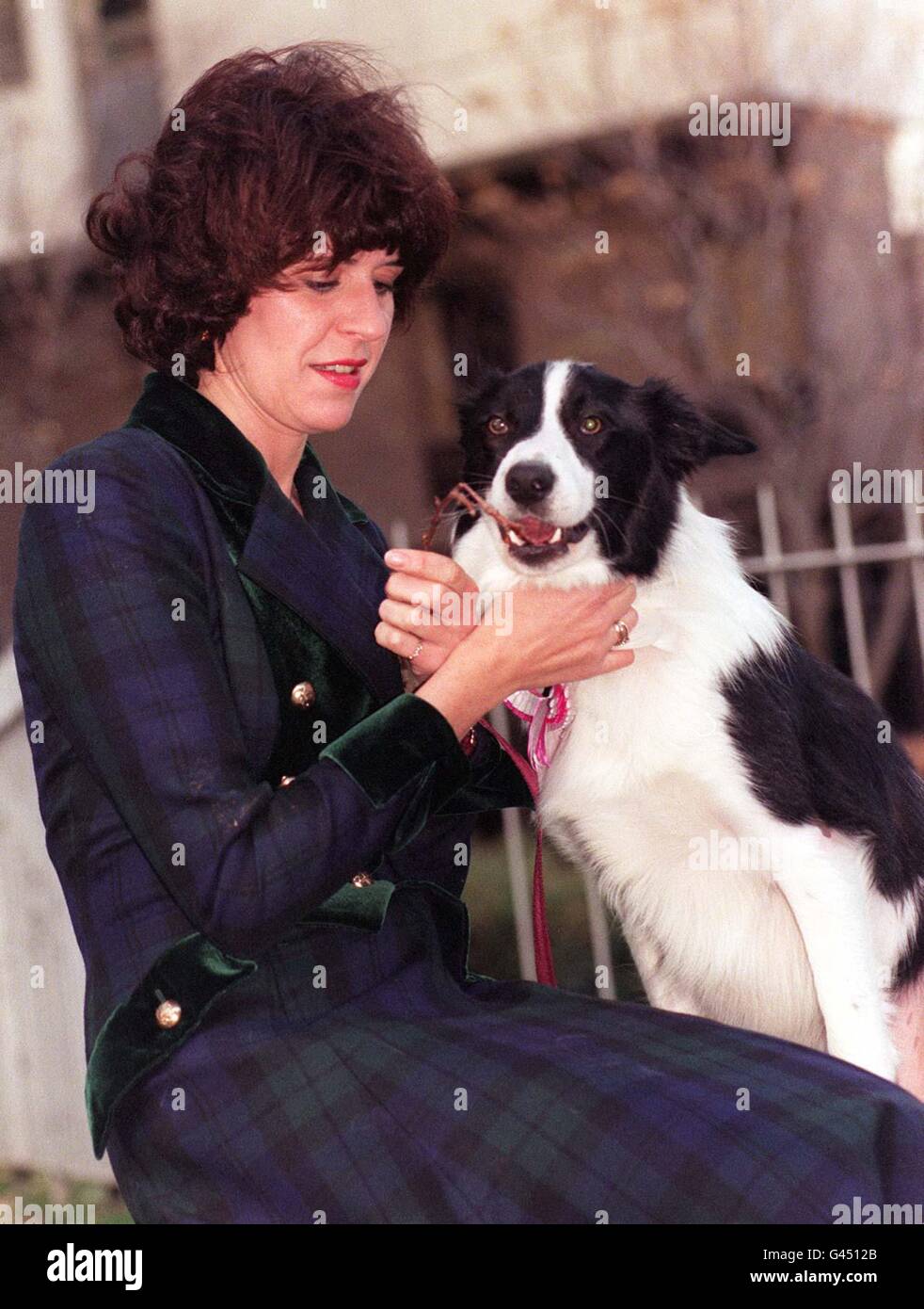 Eukanuba hotsell border collie