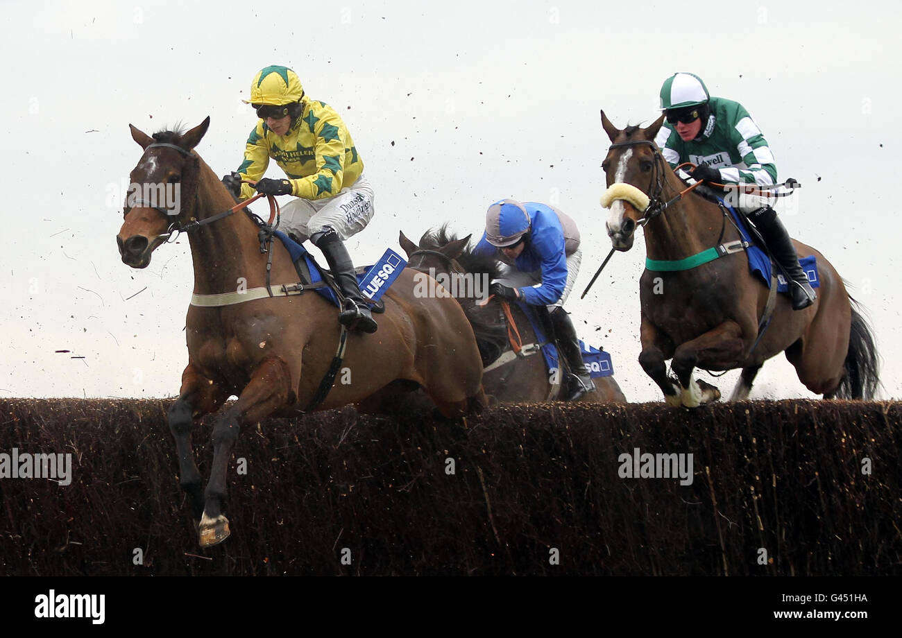 Eventual winner Regal Heights ridden by Paddy Brennan (left) take a jump on their way to victory in the Blue Square Supporting Greatwood Veterans Handicap Chase during the Greatwood Charity Day at Newbury Racecourse, Berkshire. Stock Photo