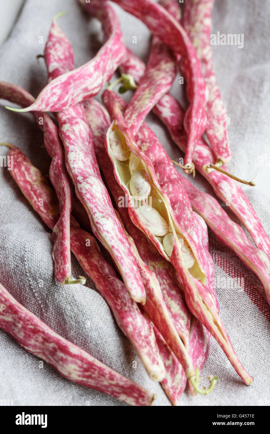 Beans hires stock photography and images Alamy