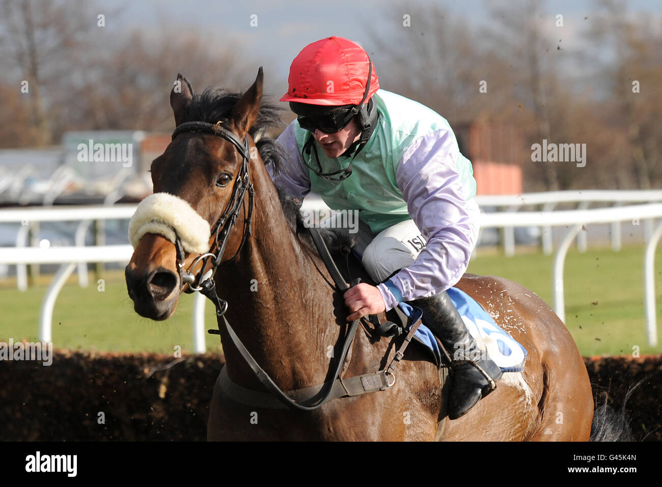 Jockey Campbell Gillies on Steamtown during the Valentine's Day Novices' Hurdle Stock Photo