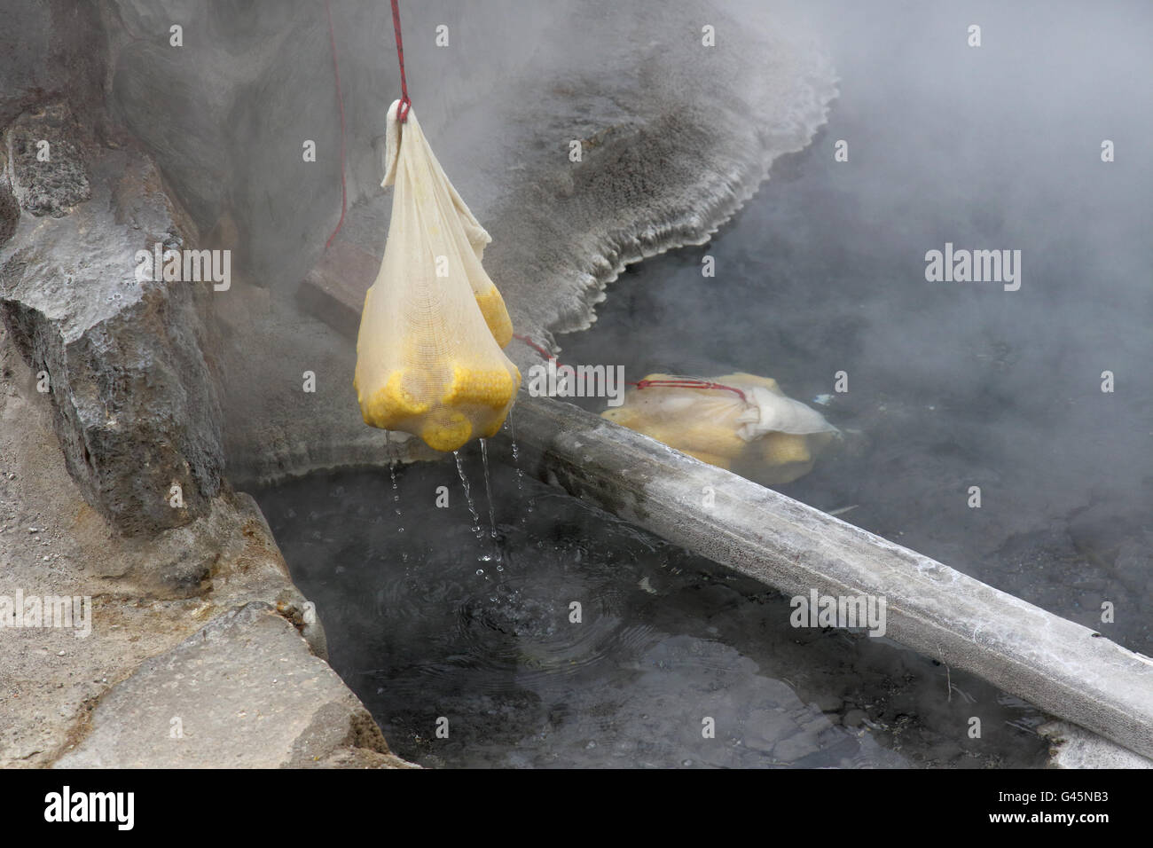 cooking corn in a hot pool at whakarewarewa thermal village at rotorua on new zealands north island Stock Photo