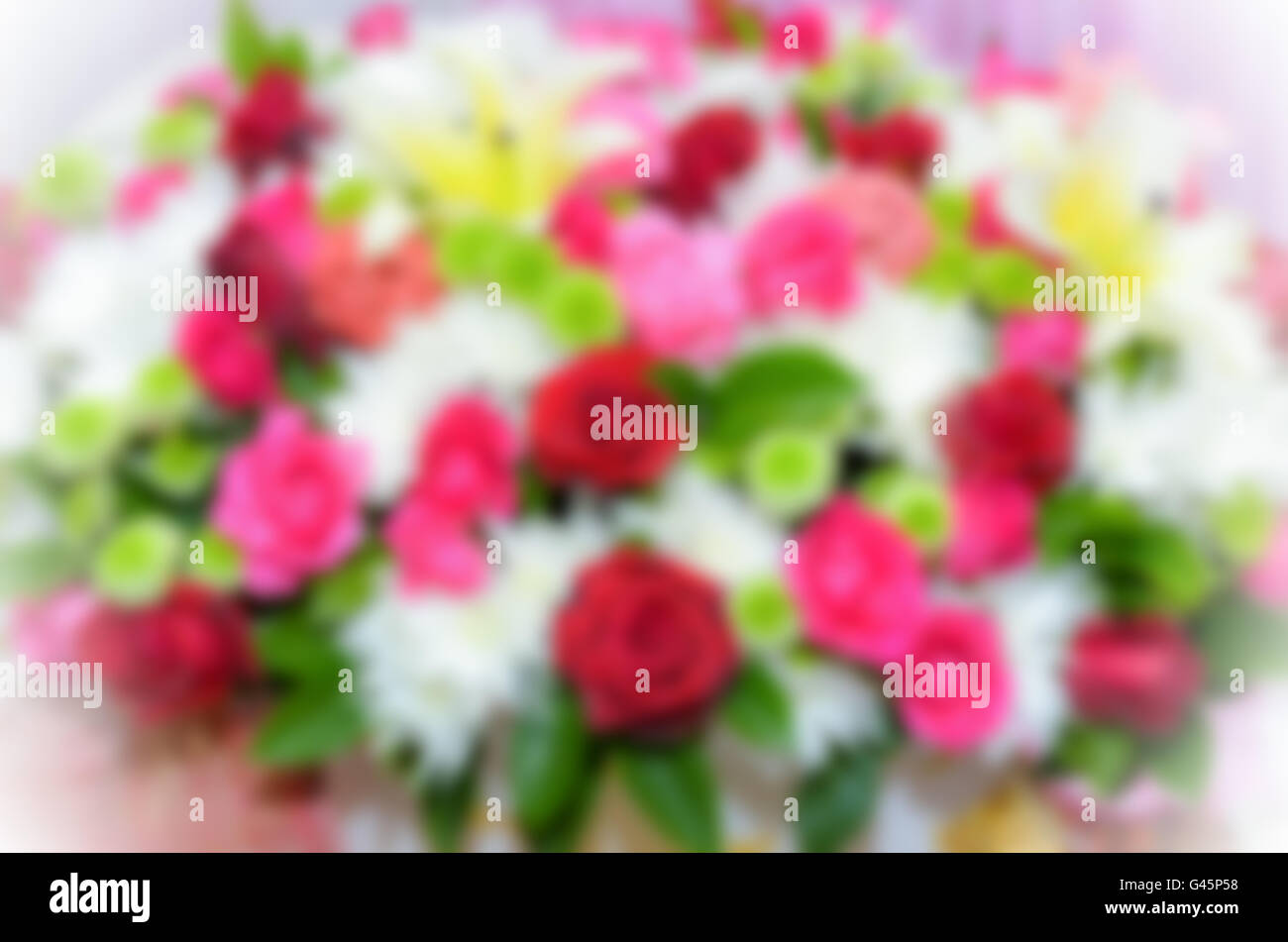 Blur background of flower hi-res stock photography and images - Alamy