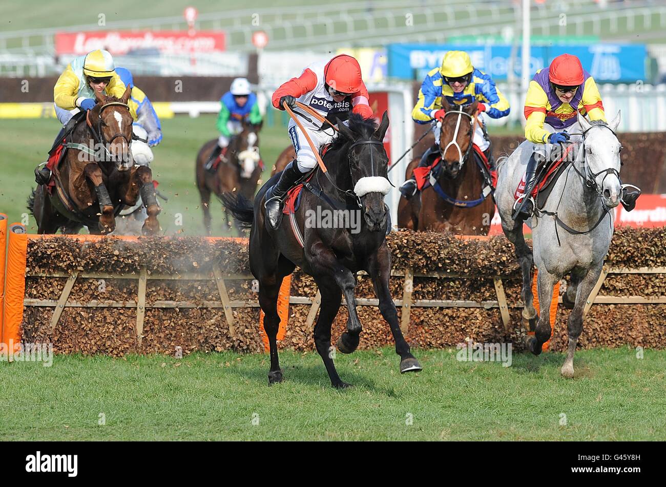 Big bucks horse hi-res stock photography and images - Alamy
