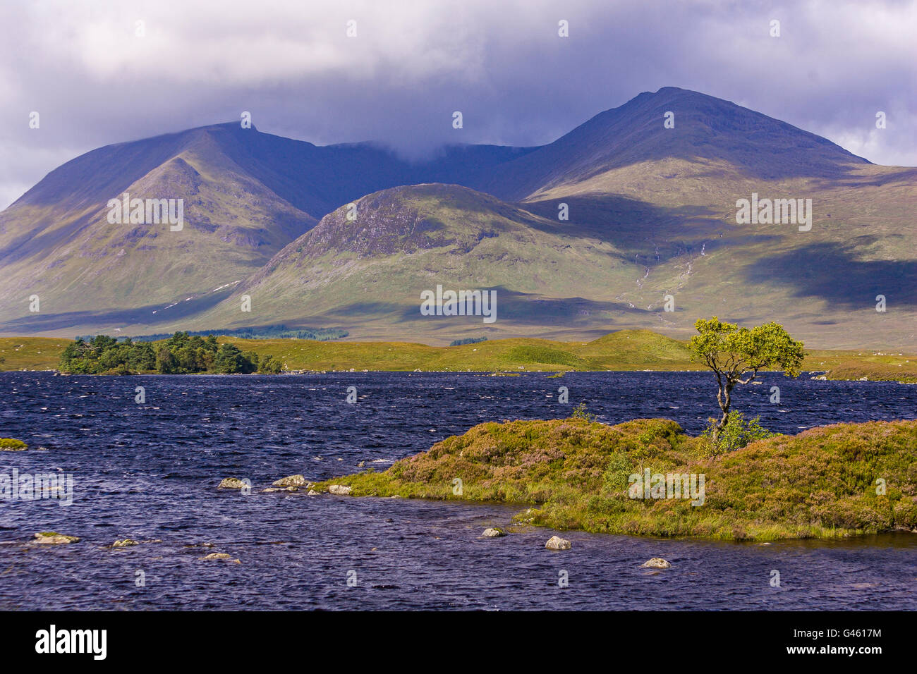 rannoch-scotland-rannoch-moor-landscape-marsh-and-lake-stock-photo
