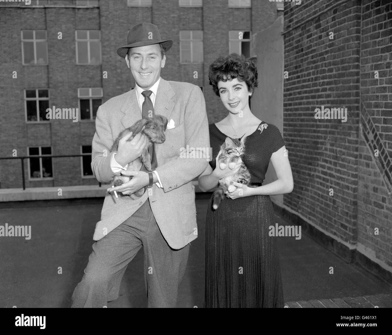 Film star Elizabeth Taylor with two going-away presents; a kitten and a puppy, from her husband, British actor Michael Wilding. Miss Taylor was due to fly out to America on board a Pan American Clipper, on her way back to Hollywood. Stock Photo