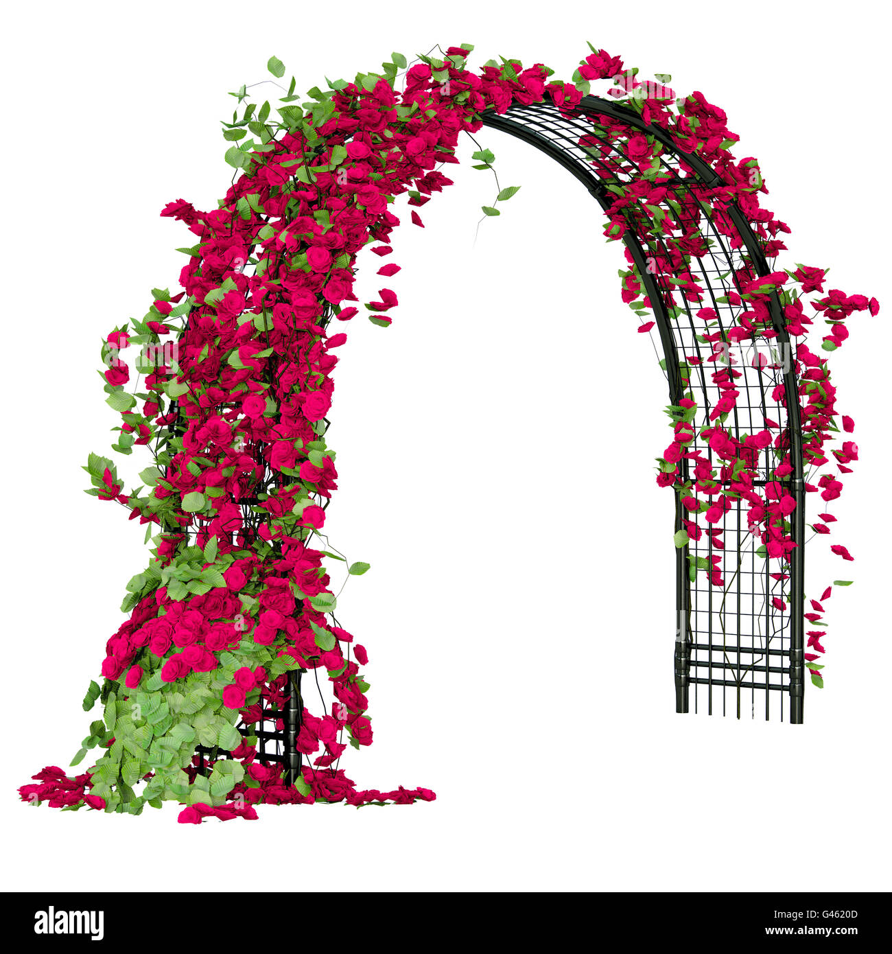 Arched pergola with roses Stock Photo