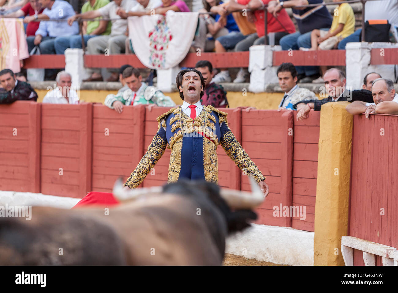 The Spanish Bullfighter Juan de Felix bullfighting with the crutch in