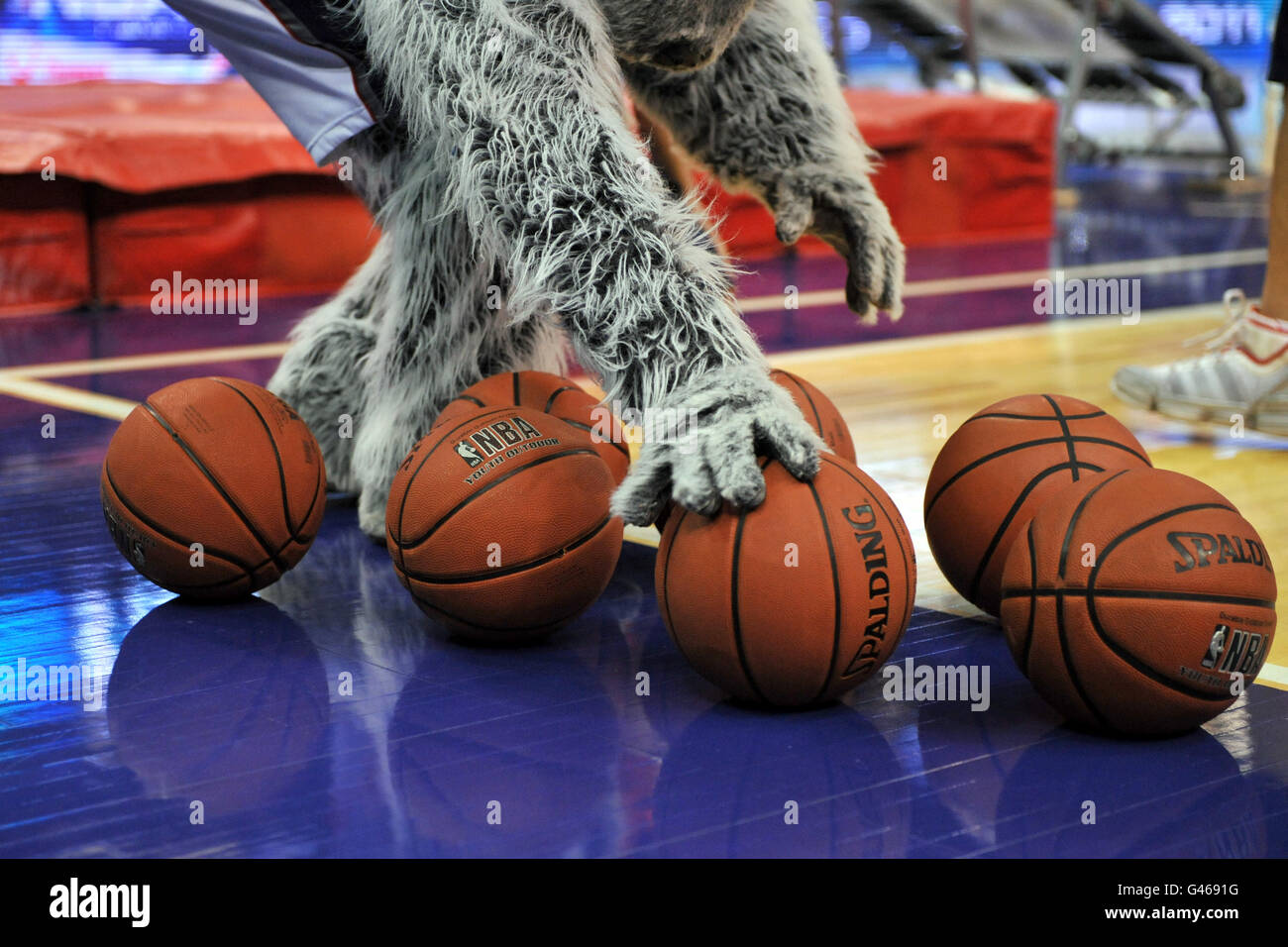 New Jerseys Nets mascot Sly the Silver Fox picks up a basketball during the interval Stock Photo