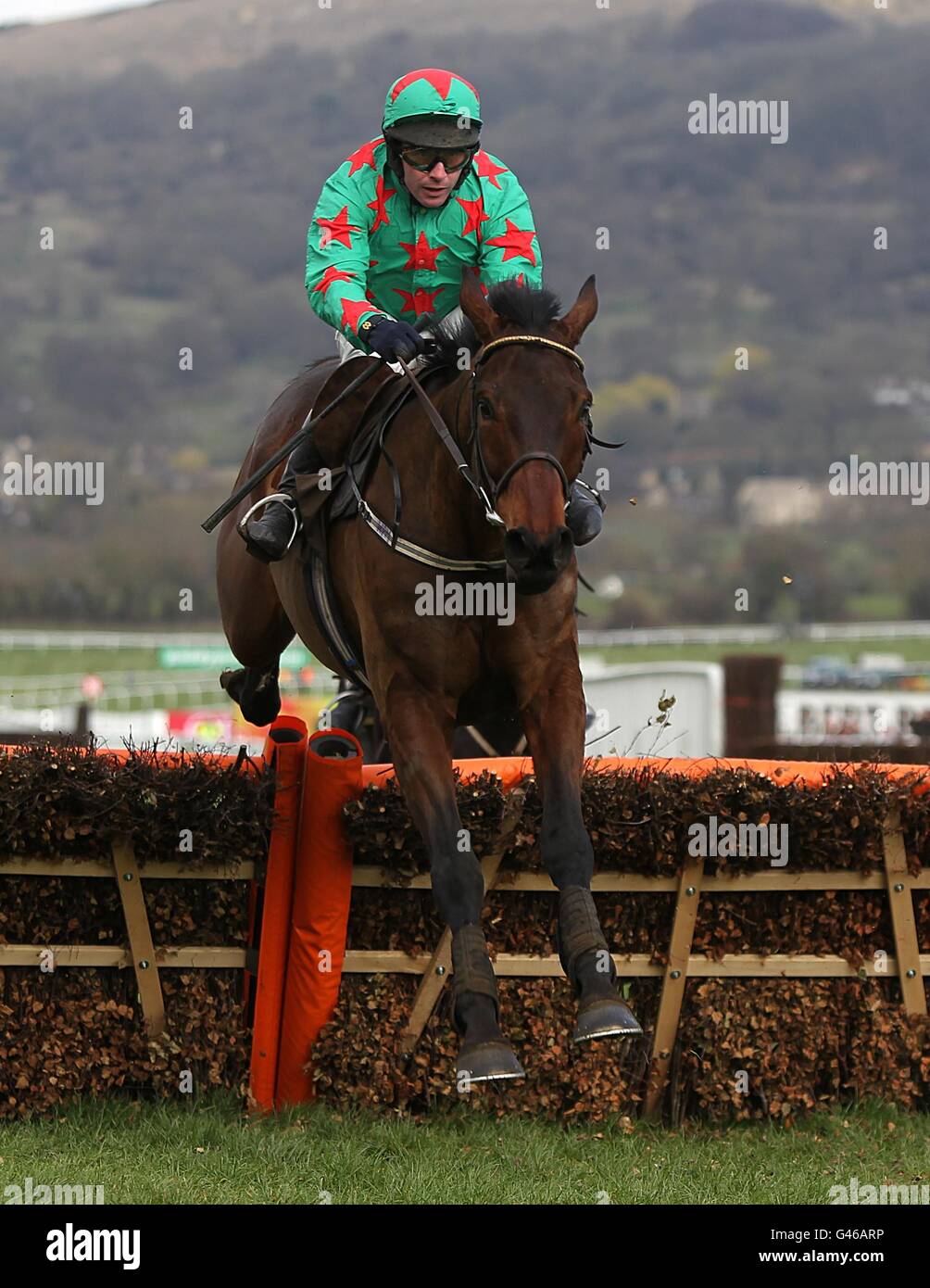 Allee Garde ridden by David Casey clears a fence during the Albert Bartlett Novices Hurdle on Gold Cup Day, during the Cheltenham Festival. Stock Photo