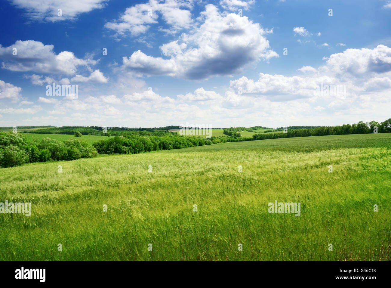 green field and blue sky Stock Photo - Alamy
