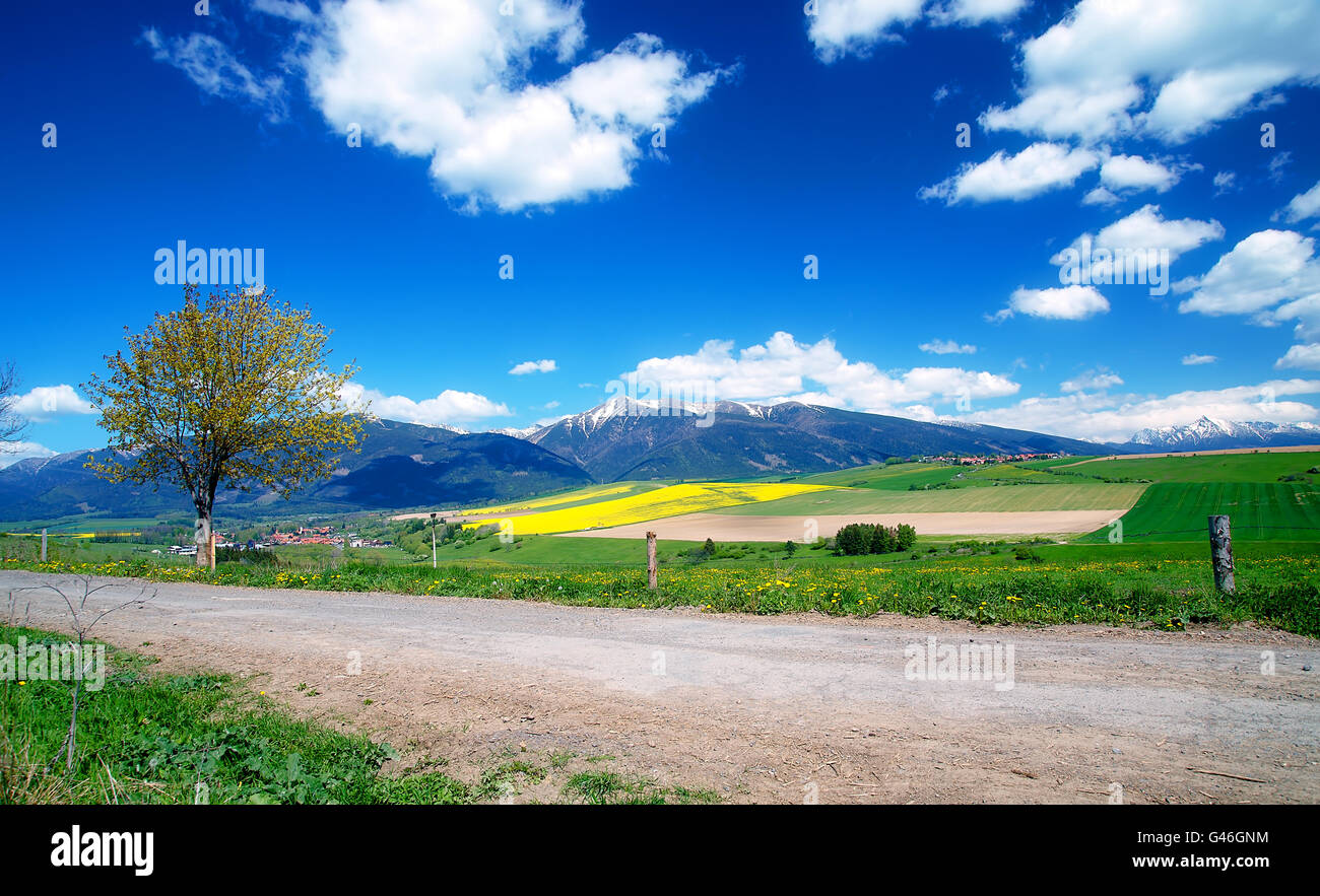 Beautiful landscape, road and green and yellow meadow with field and snow mountain and village. Stock Photo