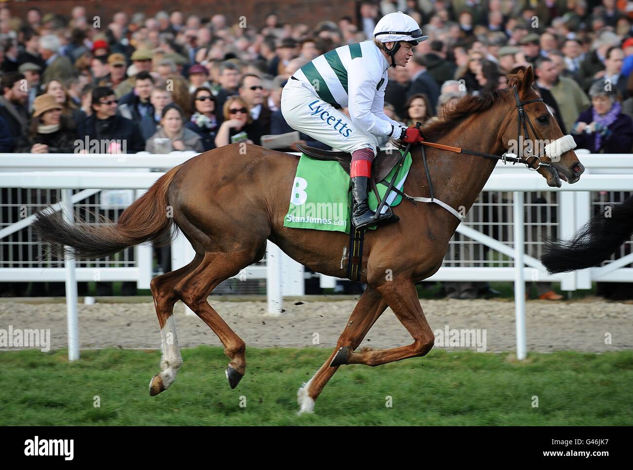 Recession Proof ridden by Robert Thornton going to post for the Stan James Supreme Novices' Hurdle on Centenary Day, during the Cheltenham Festival. Stock Photo