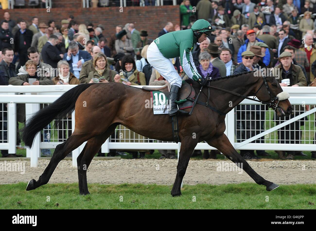 West With The Wind ridden by Paul Moloney going to post for the Irish Independent Arkle Challenge Trophy Chase on Centenary Day, during the Cheltenham Festival. Stock Photo