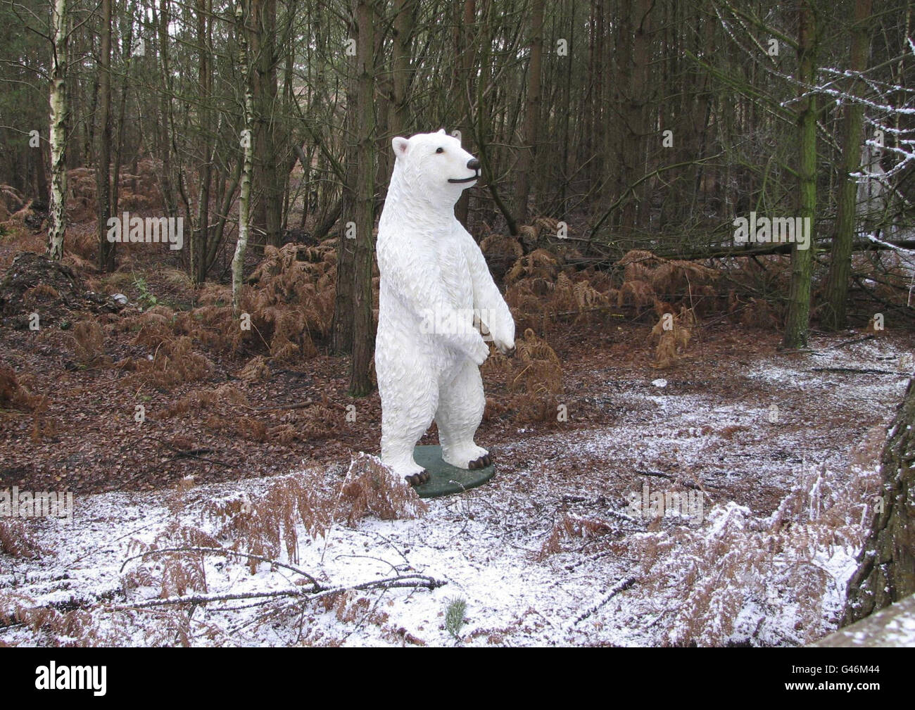 Lapland new forest at matchams leisure park hires stock photography