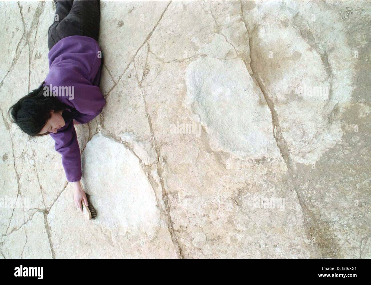 Dinosaur footprints hires stock photography and images Alamy