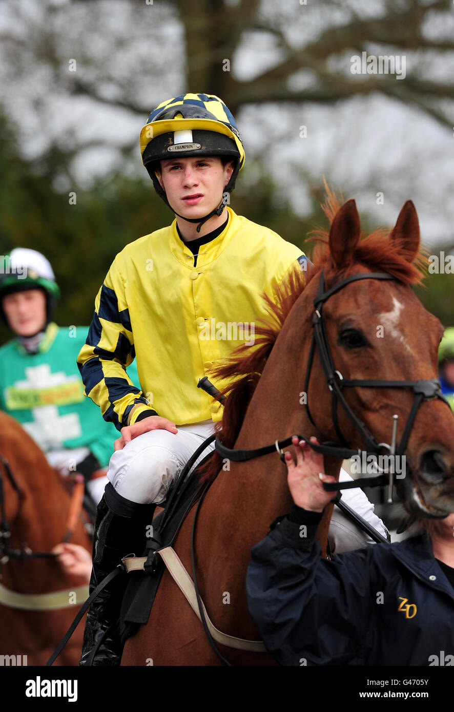 Horse Racing National Hunt Racing Lingfield Park Stock Photo Alamy
