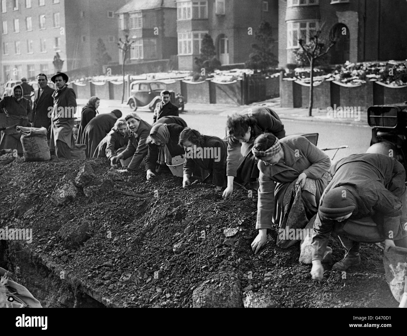 Housewives of Dudley, Worcestershire, take part in a scramble for coal that was dug up by workmen making a trench for a new gas main in Priory Road. The trench is only six-feet deep, but that was far enough down to find the coal and start the rush. An official of the National Coal Board said officially the coal belonged to the board, but so far no one has hindered the amateur miners who have been using sacks, buckets and prams to clear the coal away. Stock Photo