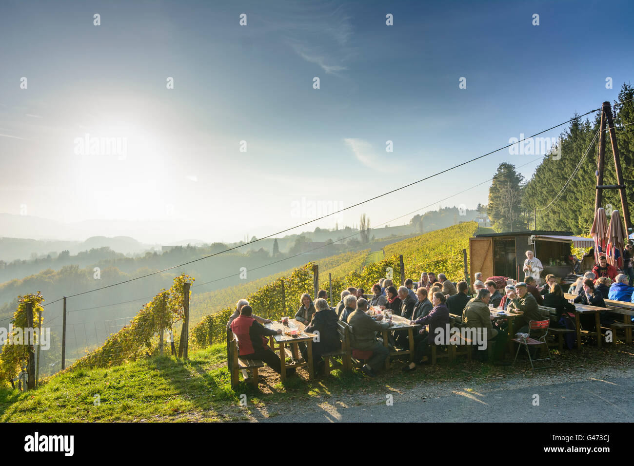 Wine bar and vineyards in South Styrian Wine Road, Austria, Steiermark, Styria, Südwest-Steiermark, Leutschach an der Weinstraße Stock Photo