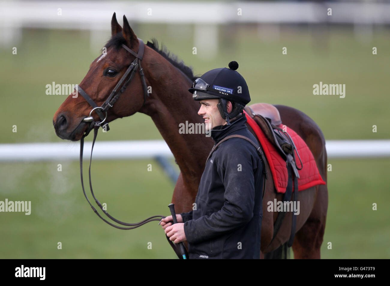 Ruby Walsh with Hurricane Fly on the gallops at Cheltenham Racecourse ...